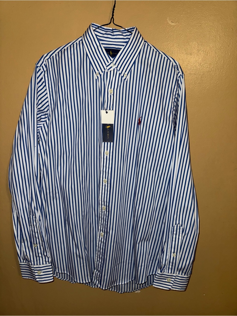 Polo Ralph Lauren Blue and White Striped Button-Down Shirt red logo med
